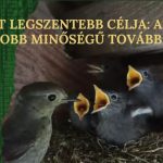 AZ ÉLETRŐL DIÓHÉJBAN