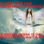 Ne hagyjuk, hogy az őrület tobzódjon!